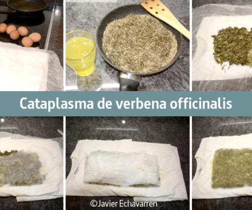 Cataplasma de verbena