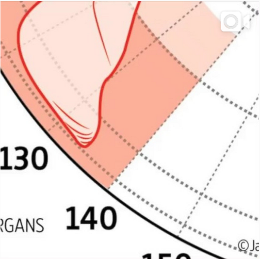 Zona Topográfica del hígado